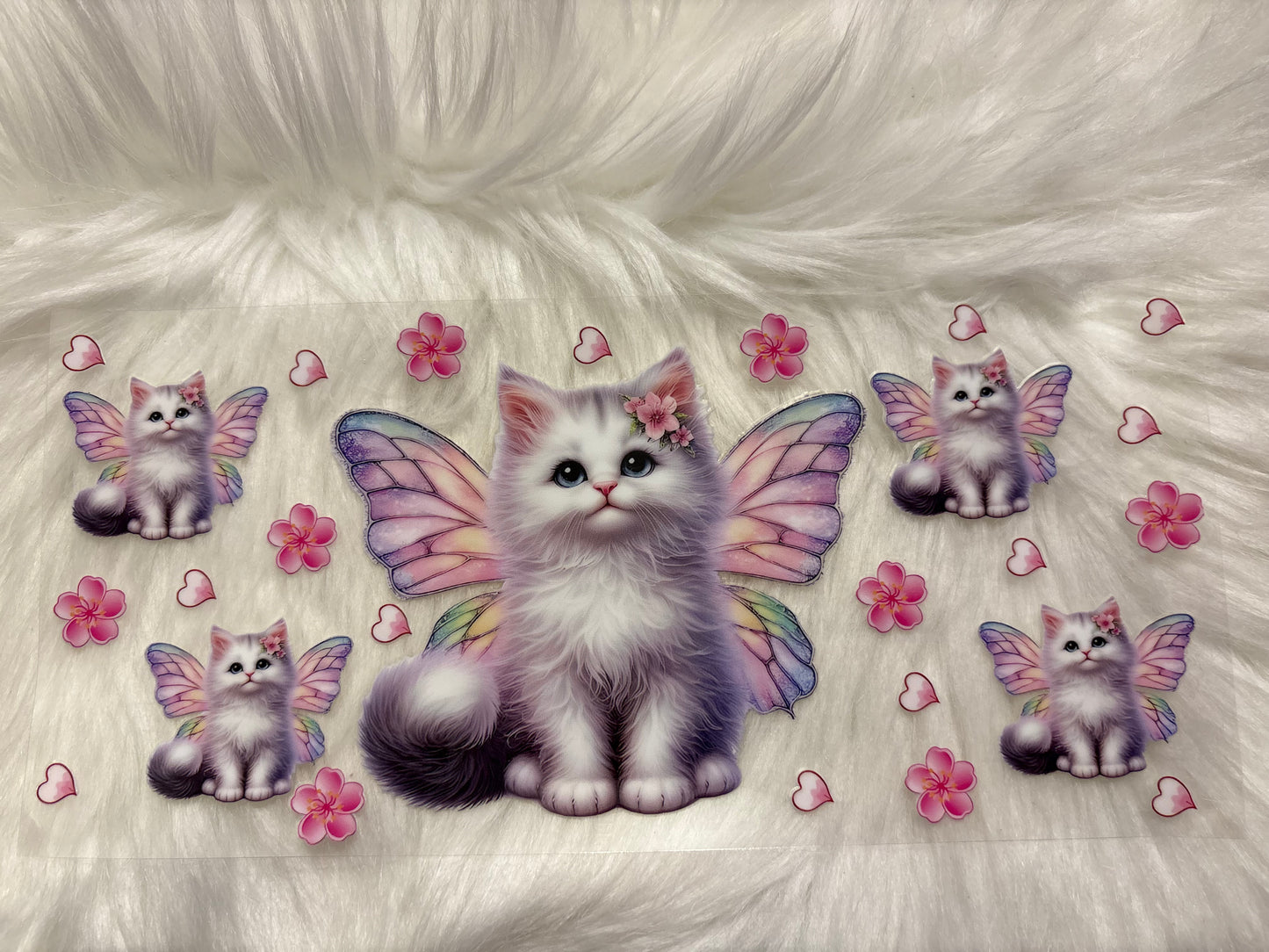 Kitten