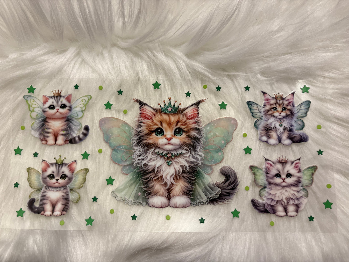 Kitten