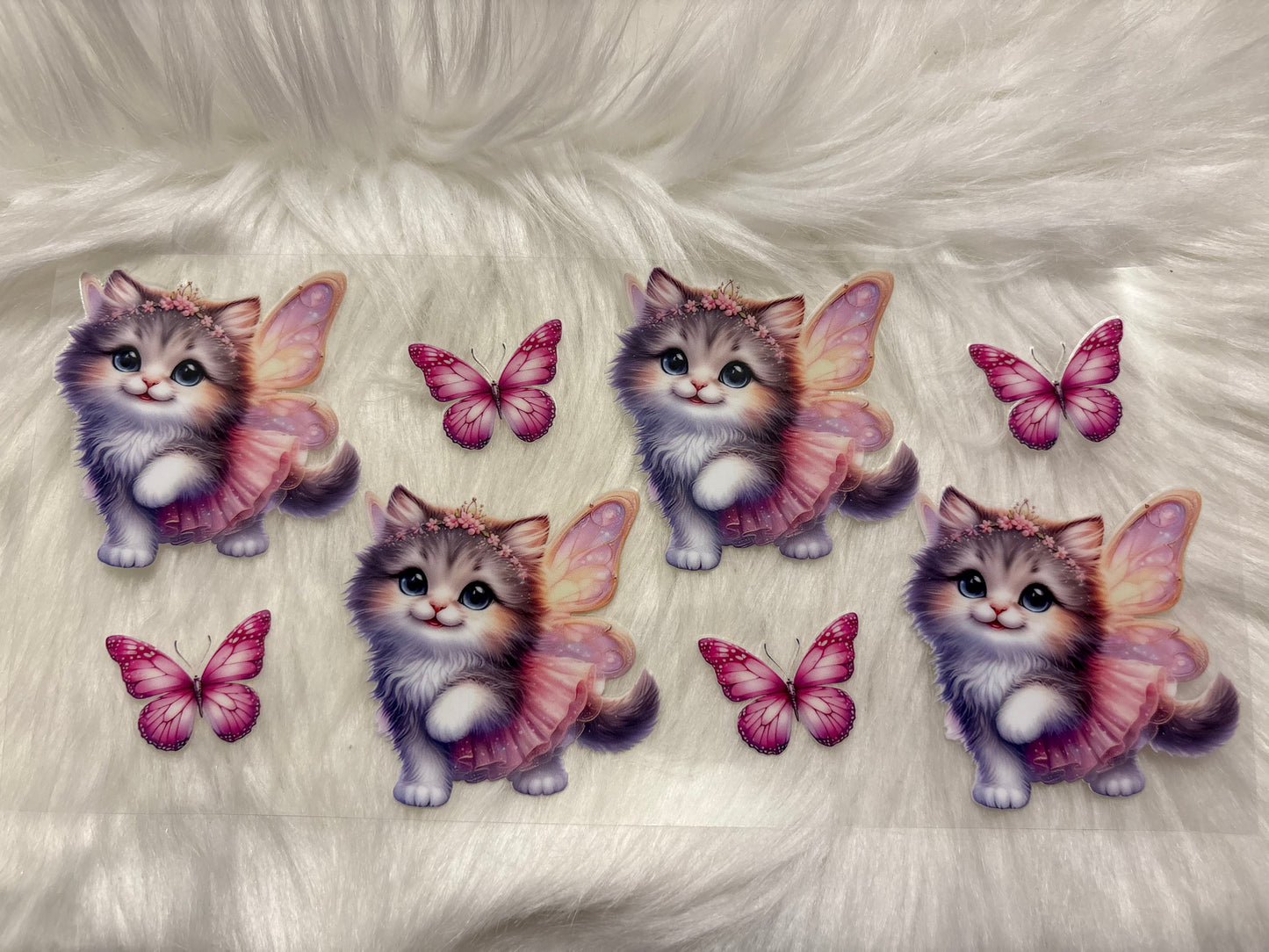 Kitten