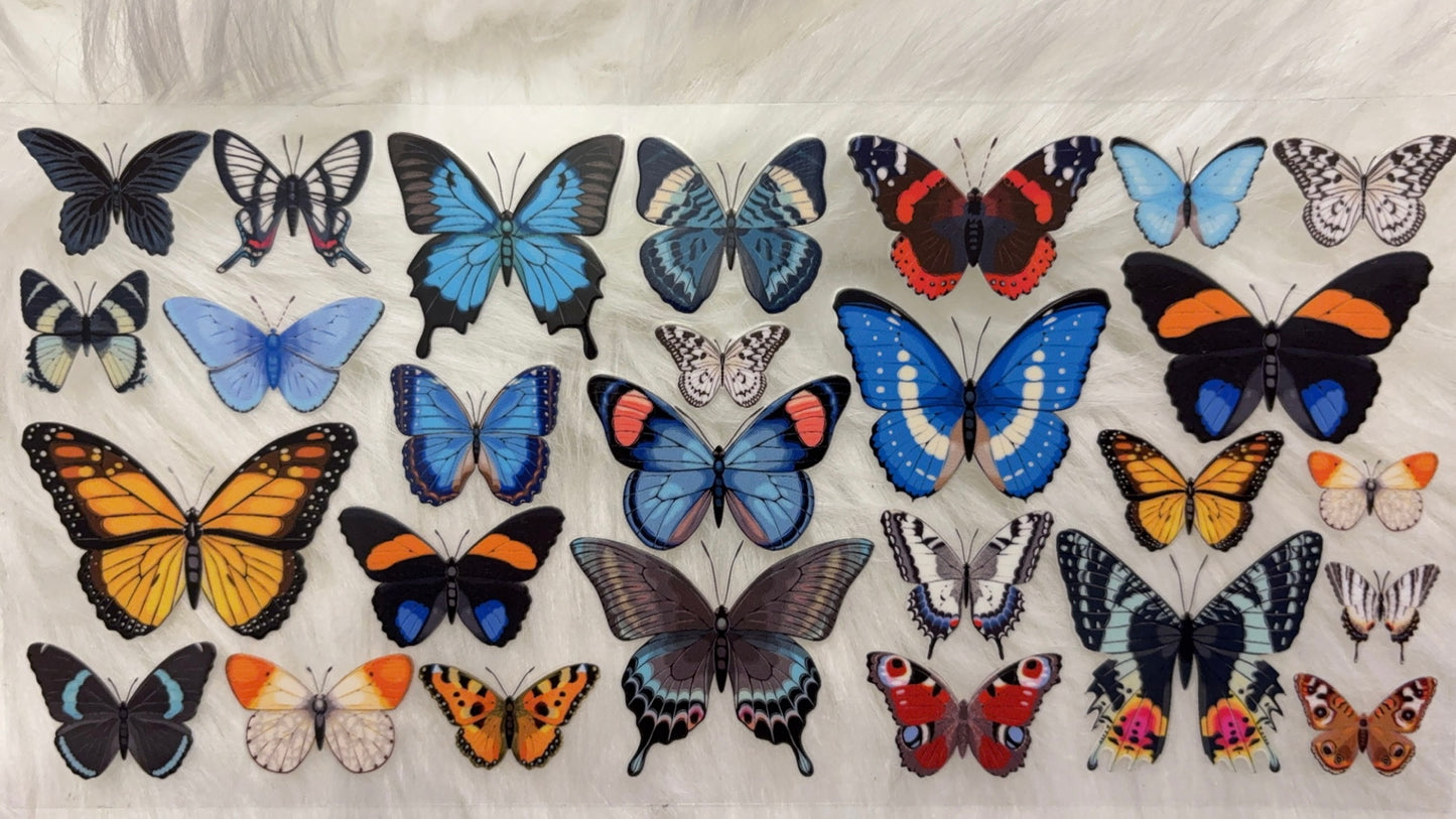 Butterflies