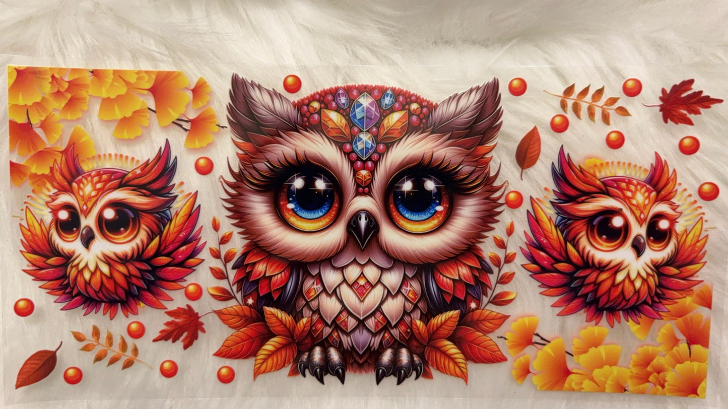 Owls
