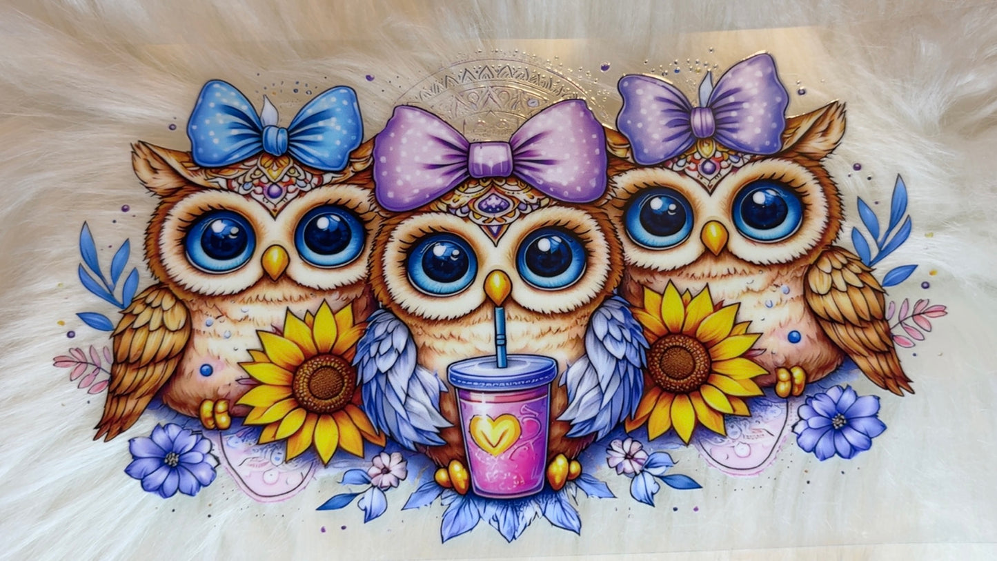 Owls
