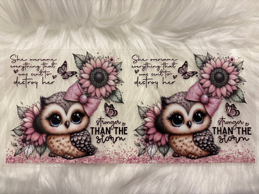 Owl