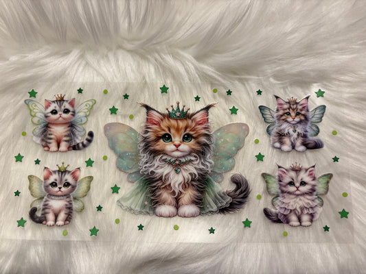 Kitten