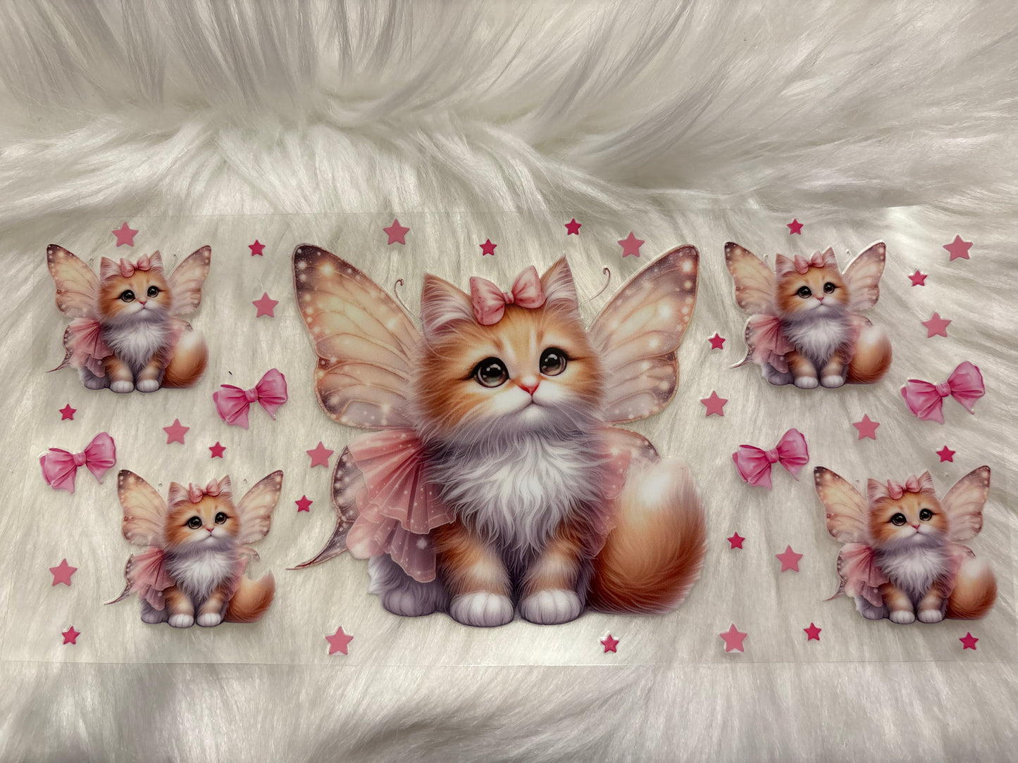 Kitten
