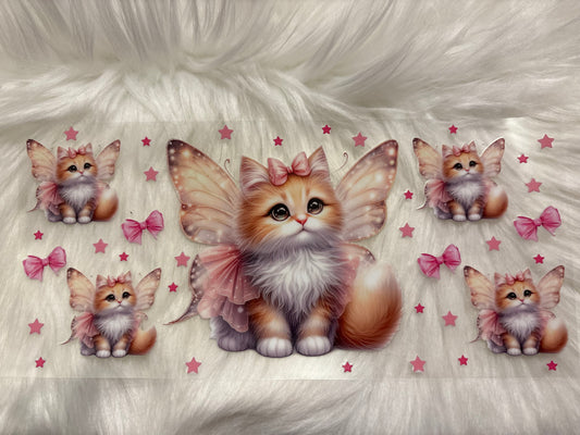 Kitten