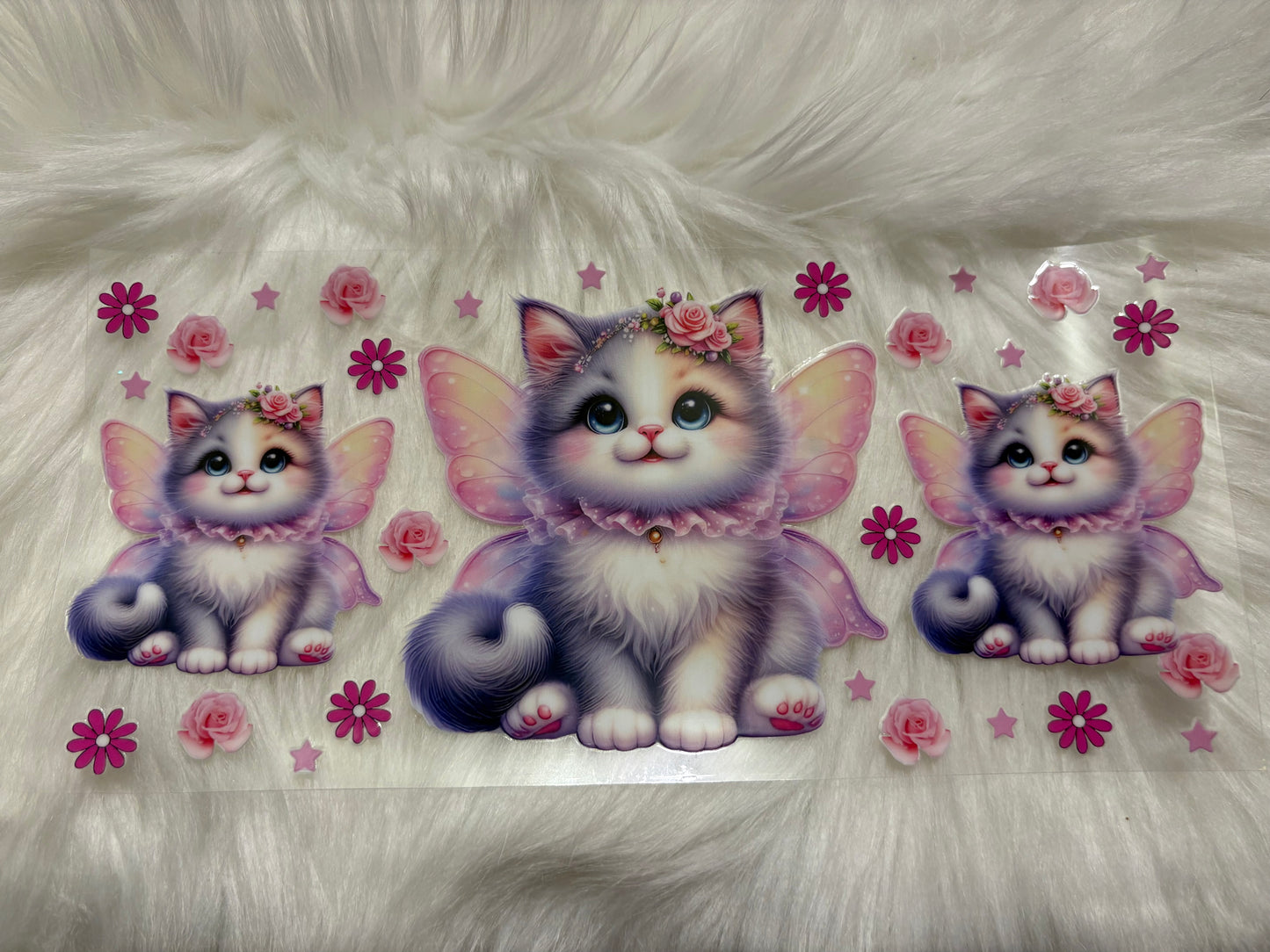 Kitten