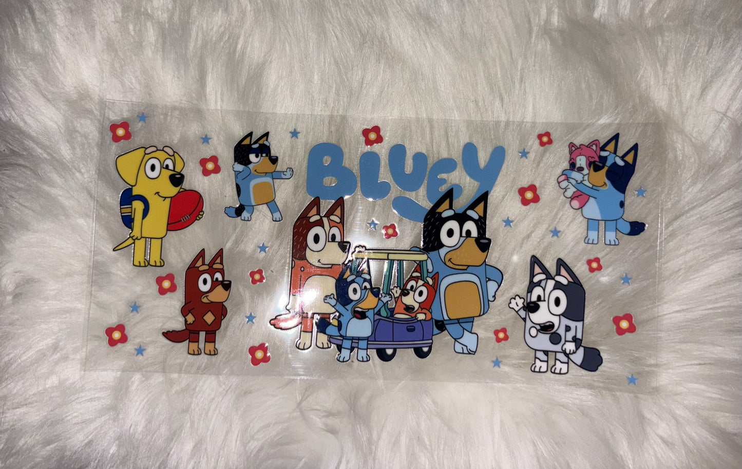 Bluey And Friends