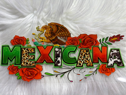 Hispanic