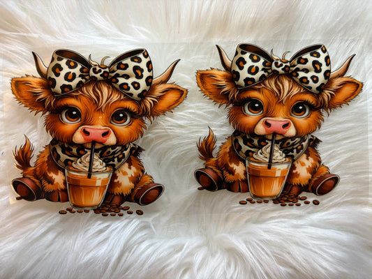 Animals