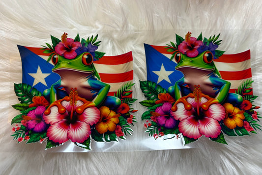 Hispanic