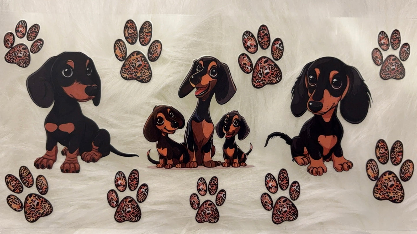Puppies Dachshund