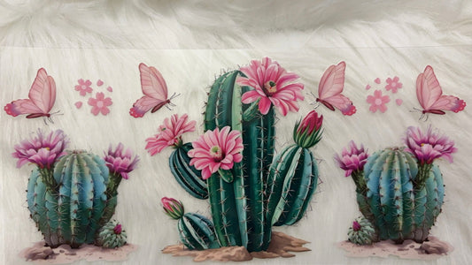 Cactus With Butterflies